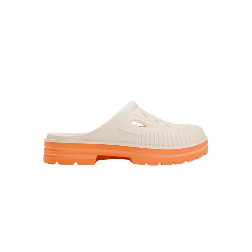 Koava | Citrus Zing