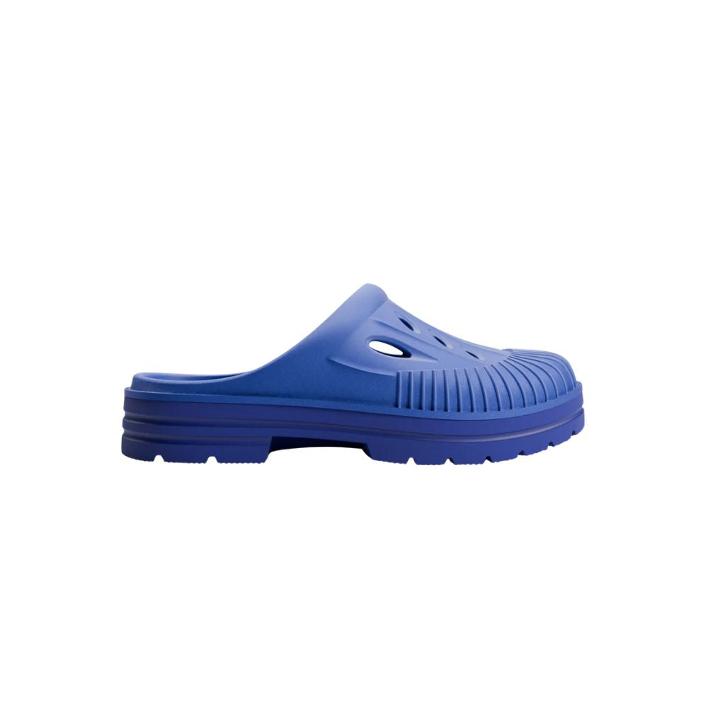 Koava | Midnight Bloom